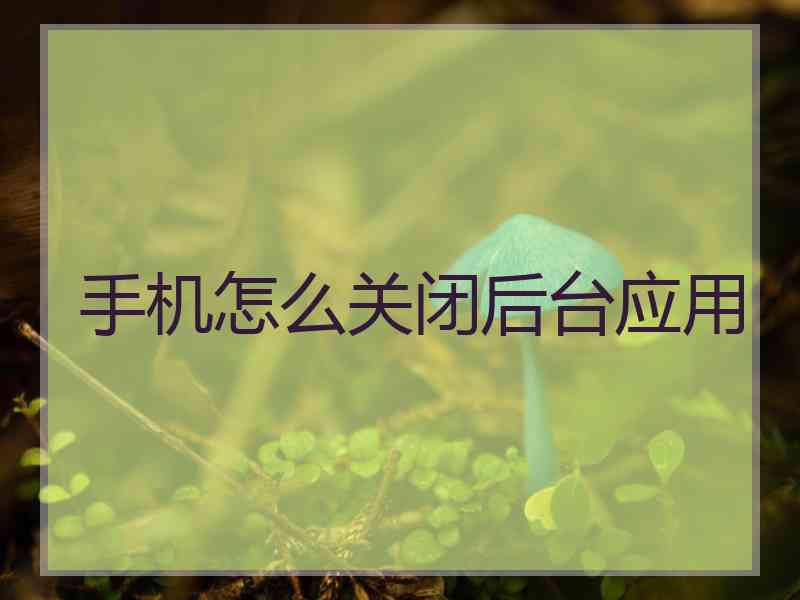 手机怎么关闭后台应用