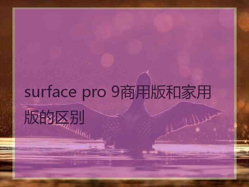 surface pro 9商用版和家用版的区别