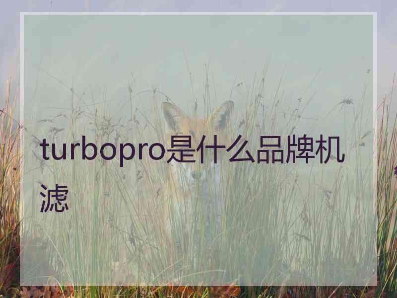 turbopro是什么品牌机滤