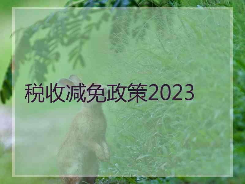 税收减免政策2023