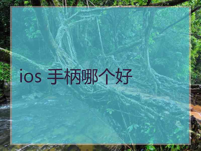 ios 手柄哪个好