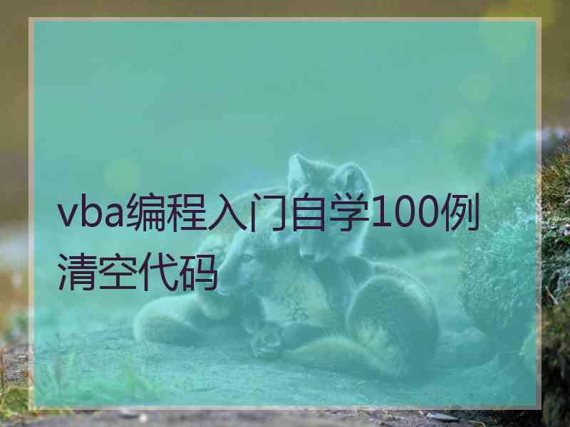 vba编程入门自学100例清空代码