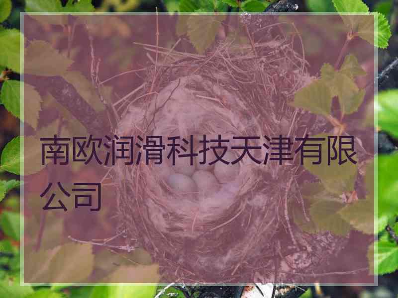 南欧润滑科技天津有限公司