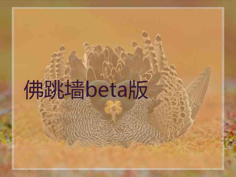 佛跳墙beta版