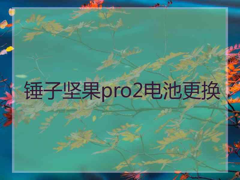 锤子坚果pro2电池更换