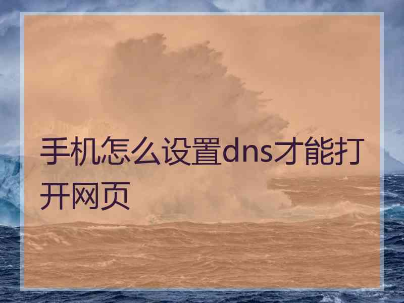 手机怎么设置dns才能打开网页