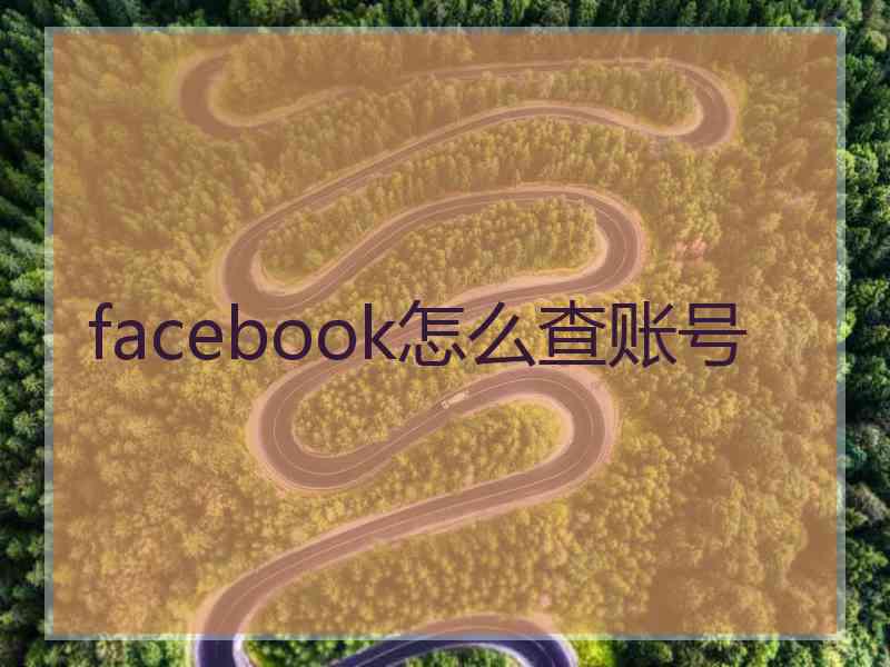 facebook怎么查账号