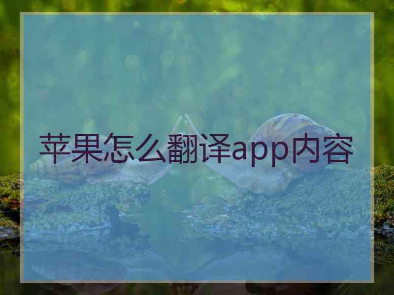 苹果怎么翻译app内容