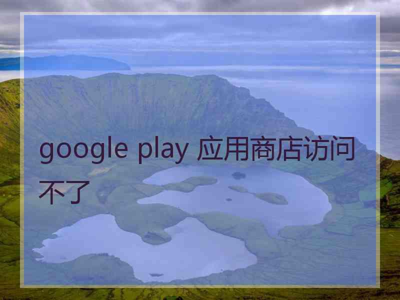 google play 应用商店访问不了