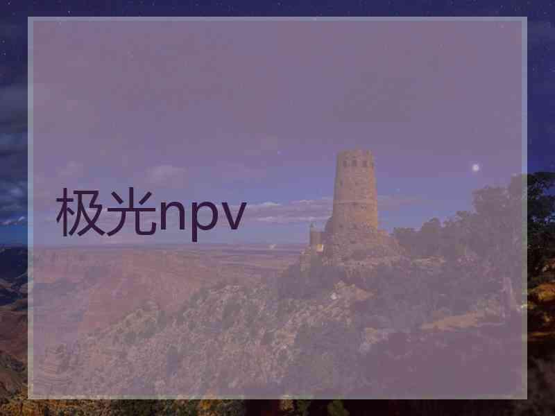 极光npv