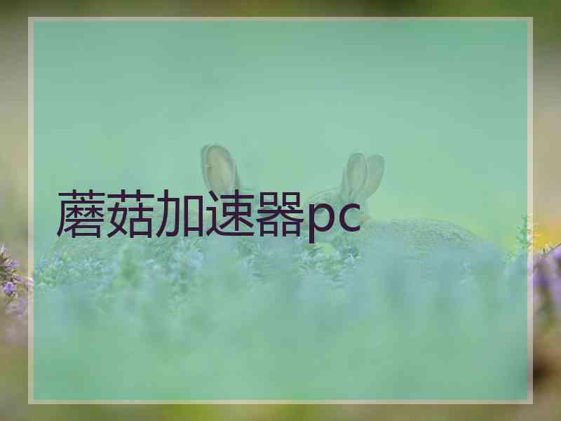 蘑菇加速器pc