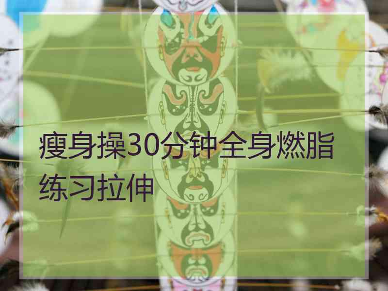 瘦身操30分钟全身燃脂练习拉伸