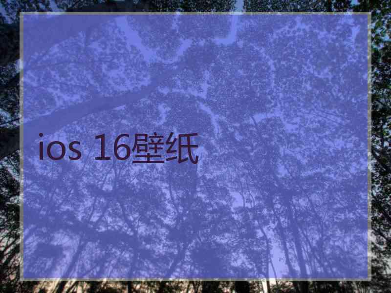 ios 16壁纸