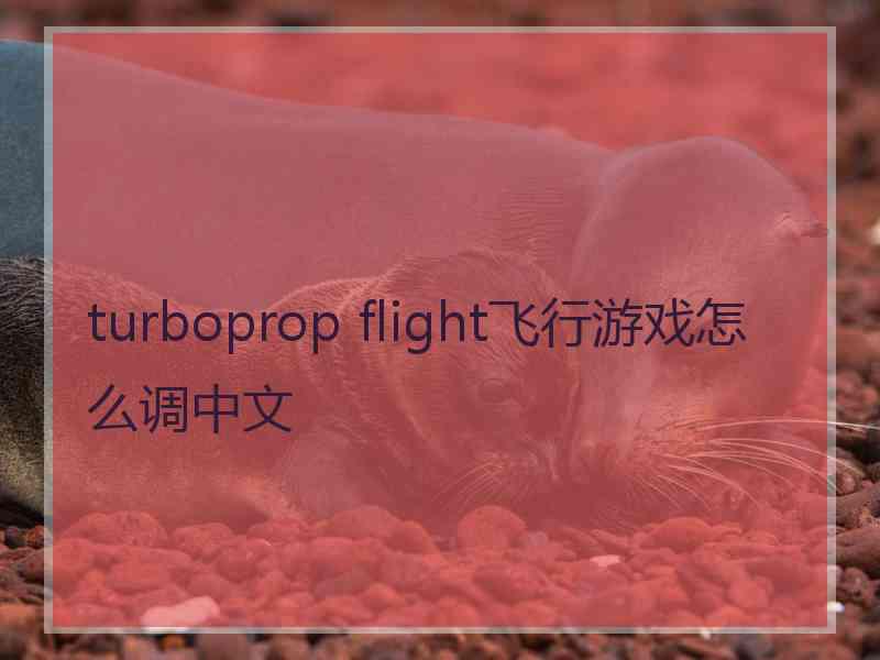 turboprop flight飞行游戏怎么调中文