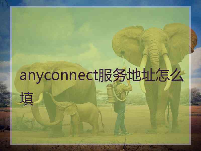 anyconnect服务地址怎么填