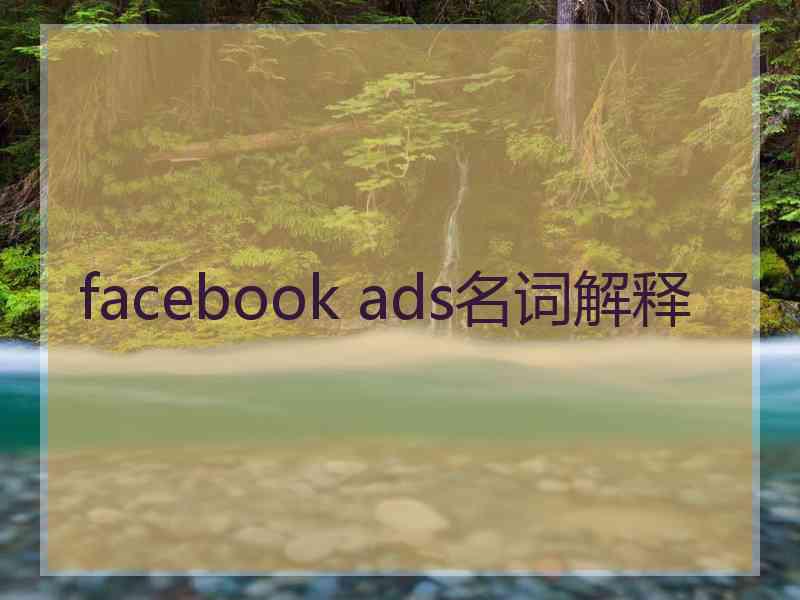 facebook ads名词解释