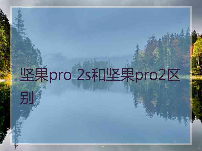 坚果pro 2s和坚果pro2区别