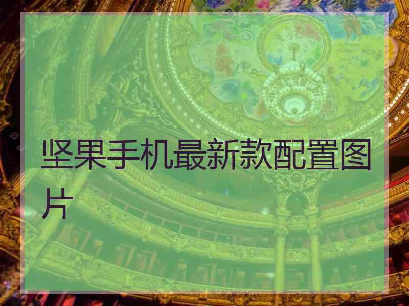 坚果手机最新款配置图片