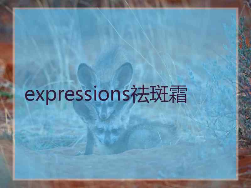 expressions祛斑霜