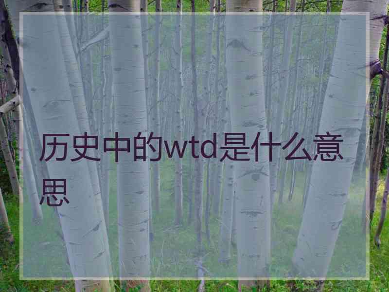 历史中的wtd是什么意思