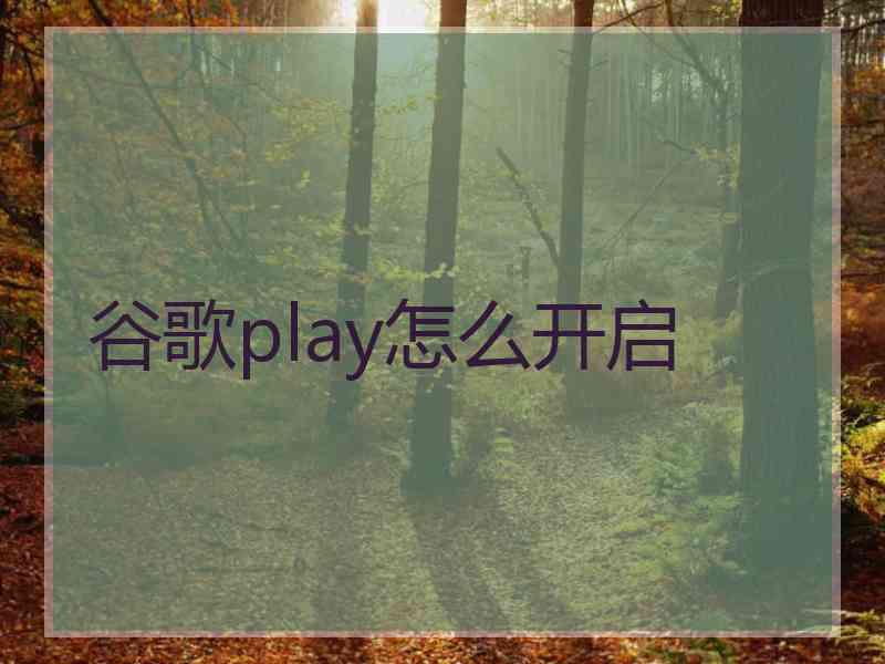 谷歌play怎么开启