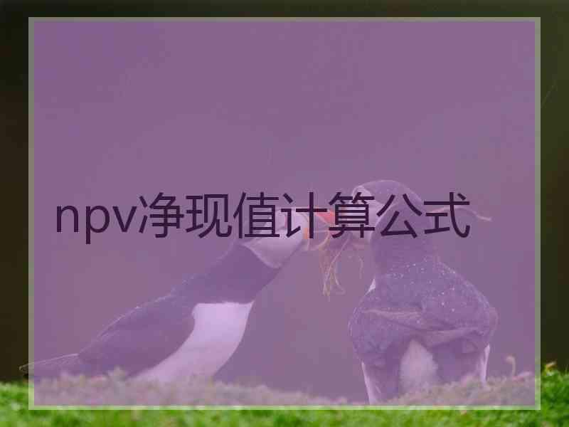 npv净现值计算公式