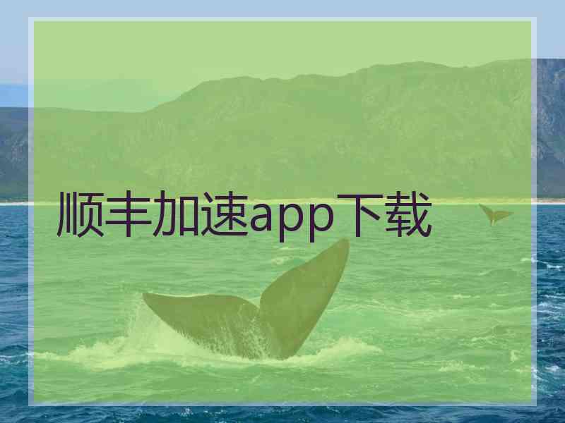 顺丰加速app下载