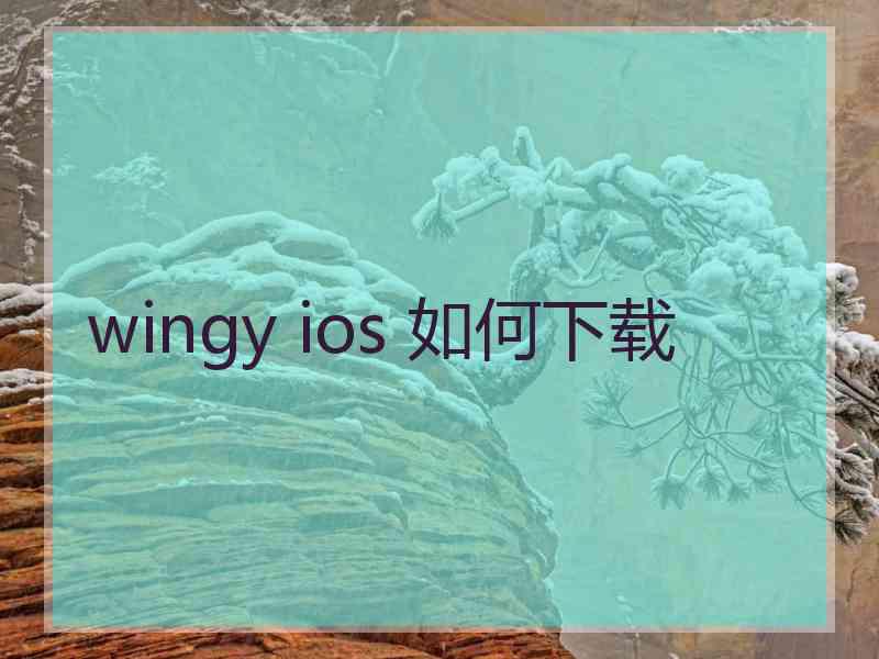 wingy ios 如何下载