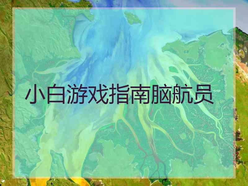 小白游戏指南脑航员