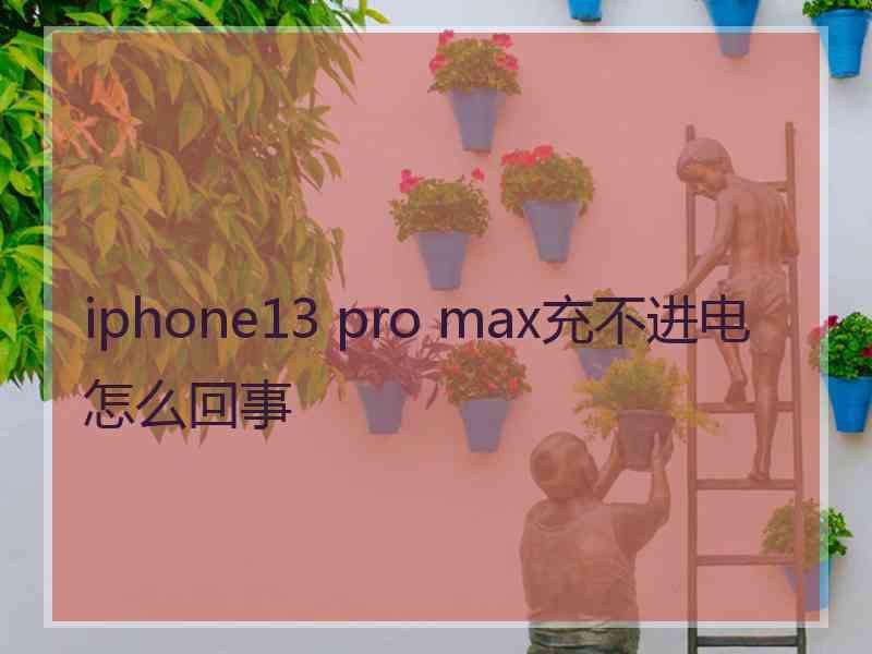 iphone13 pro max充不进电怎么回事