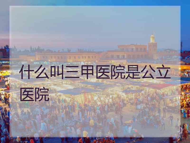 什么叫三甲医院是公立医院