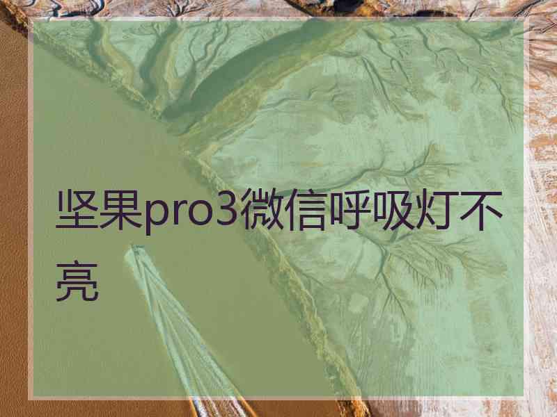 坚果pro3微信呼吸灯不亮