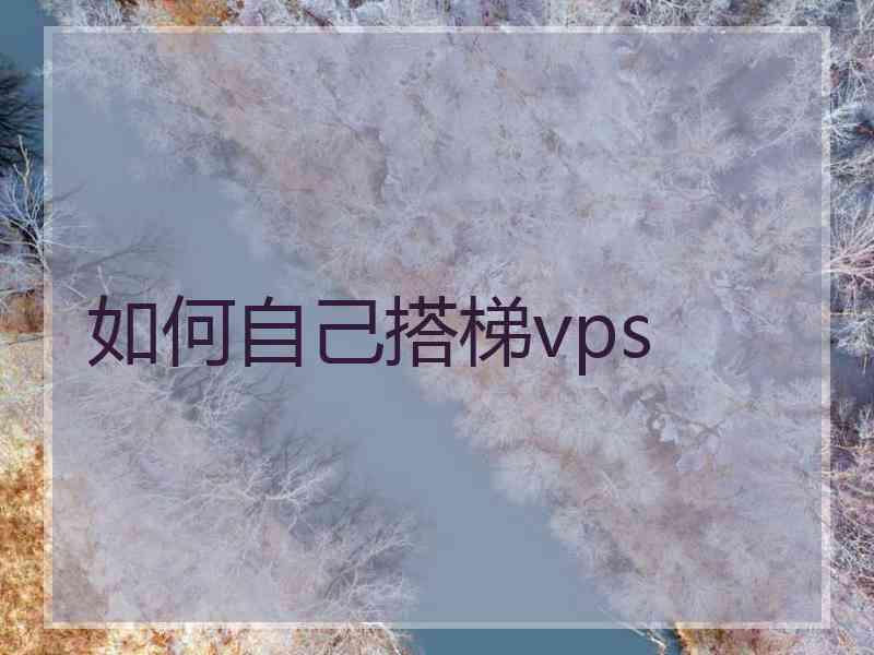 如何自己搭梯vps