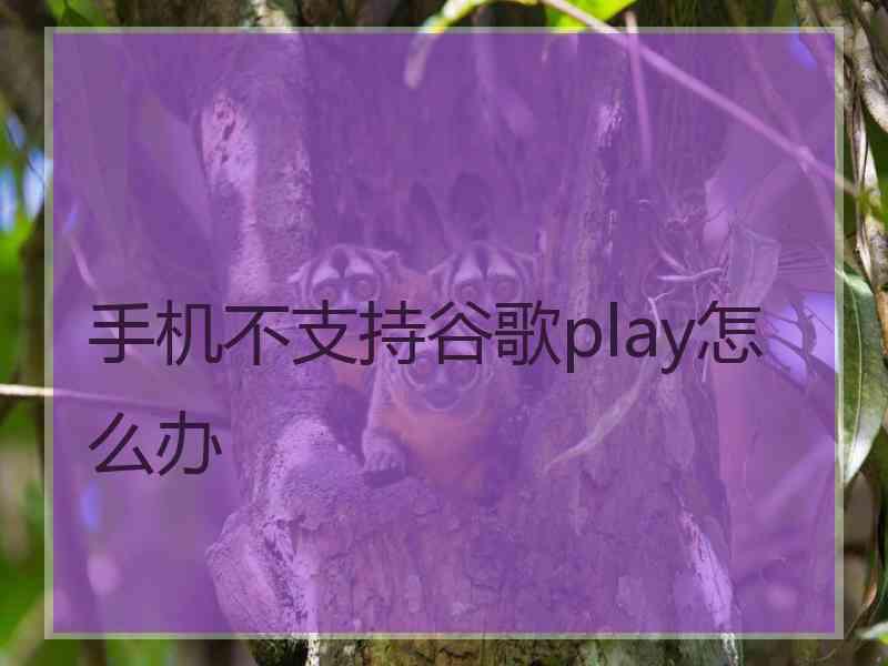 手机不支持谷歌play怎么办