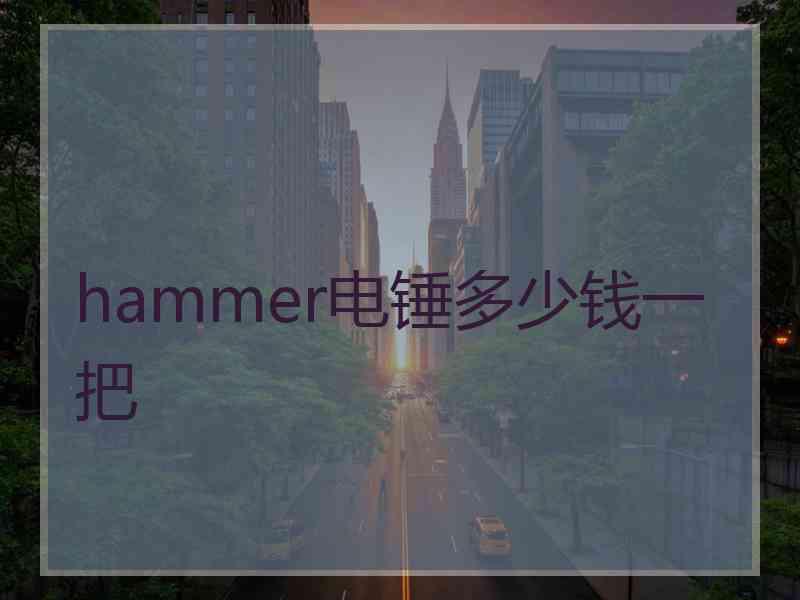 hammer电锤多少钱一把