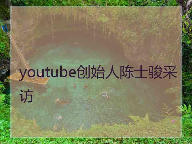 youtube创始人陈士骏采访