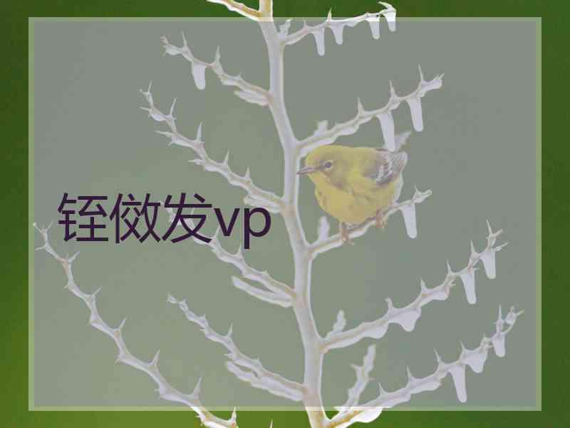 铚傚发vp