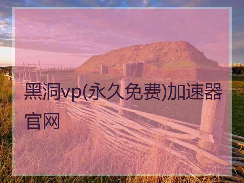 黑洞vp(永久免费)加速器官网