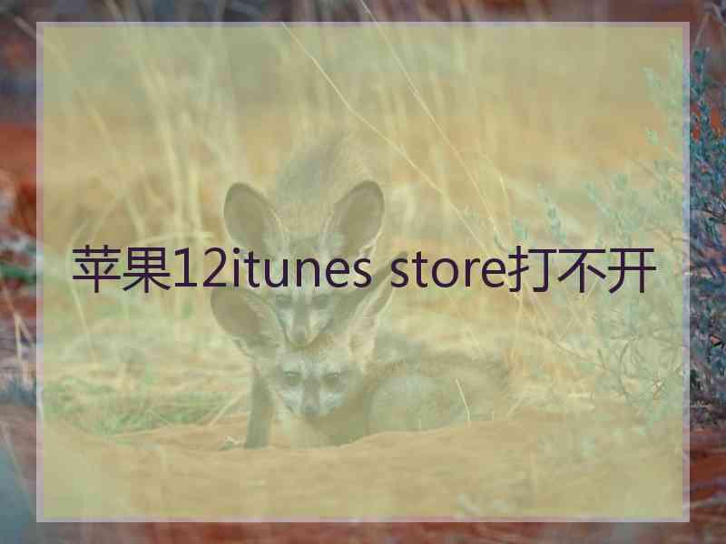 苹果12itunes store打不开