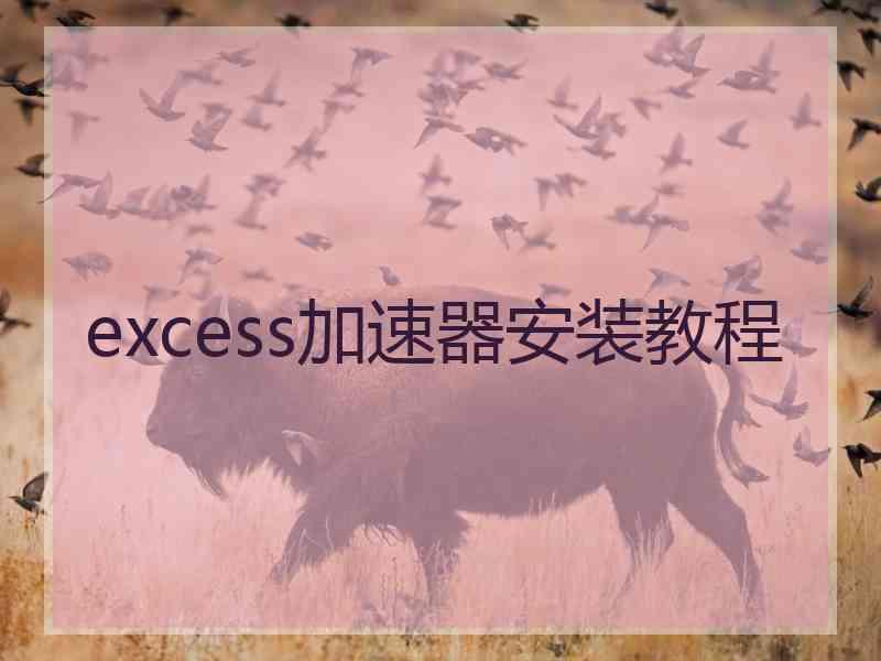 excess加速器安装教程