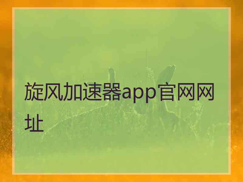 旋风加速器app官网网址