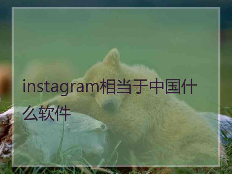 instagram相当于中国什么软件