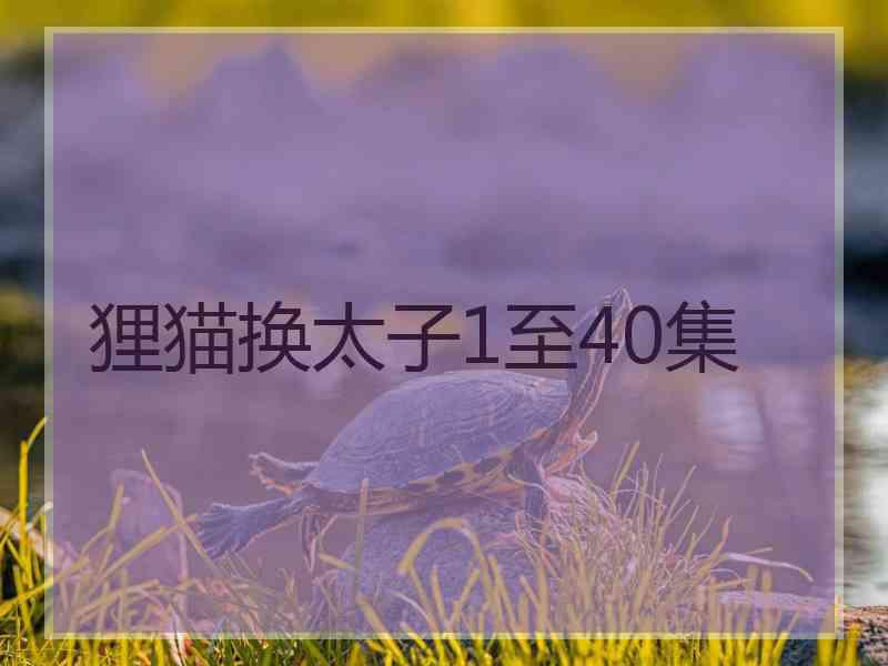 狸猫换太子1至40集