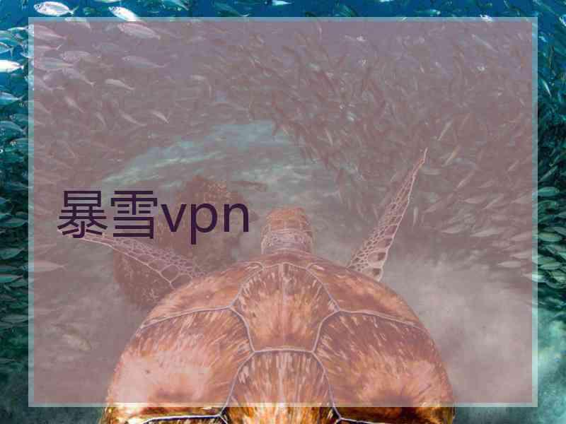 暴雪vpn