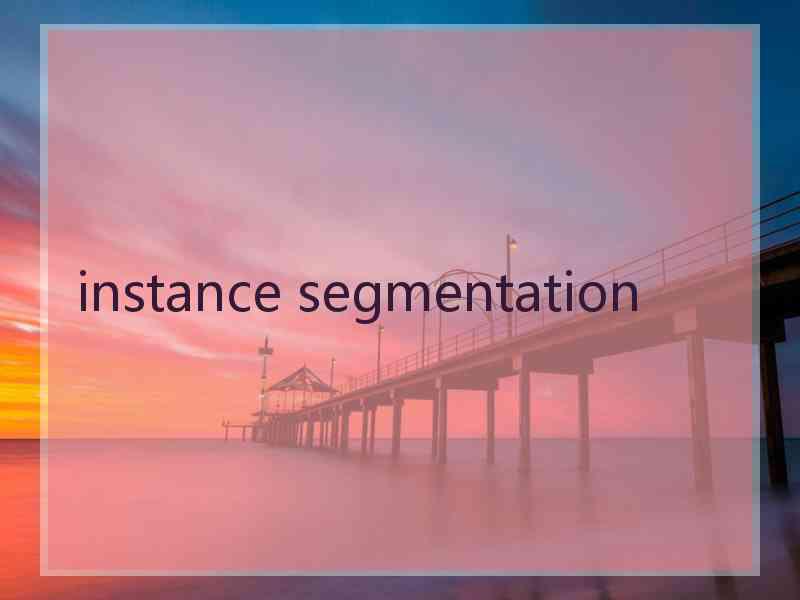 instance segmentation