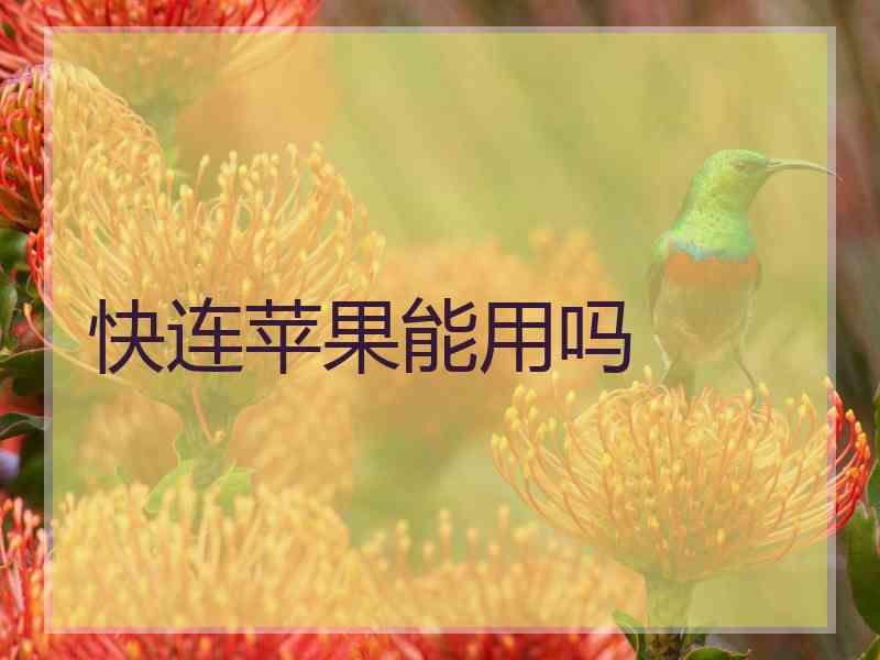 快连苹果能用吗