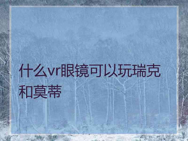 什么vr眼镜可以玩瑞克和莫蒂