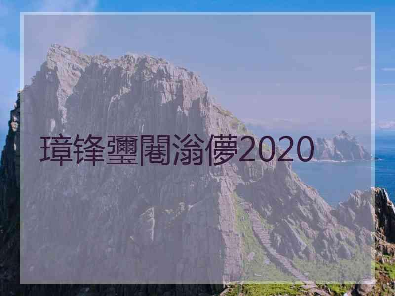 璋锋瓕闀滃儚2020