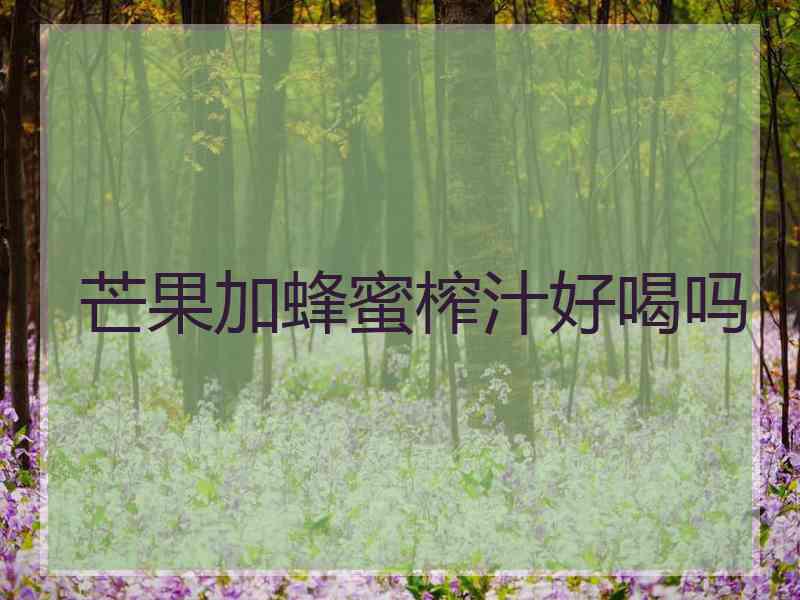 芒果加蜂蜜榨汁好喝吗