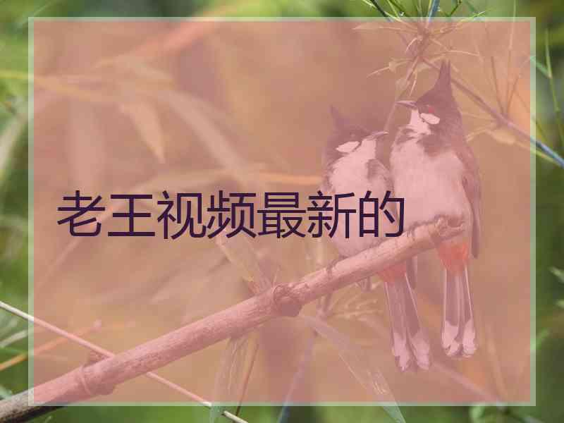 老王视频最新的